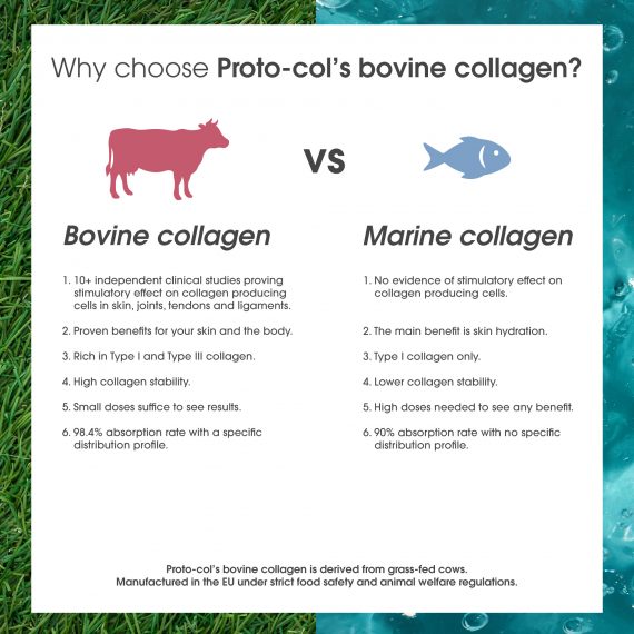 The Difference between Marine and Bovine Collagen Lifestyle Pharmacy